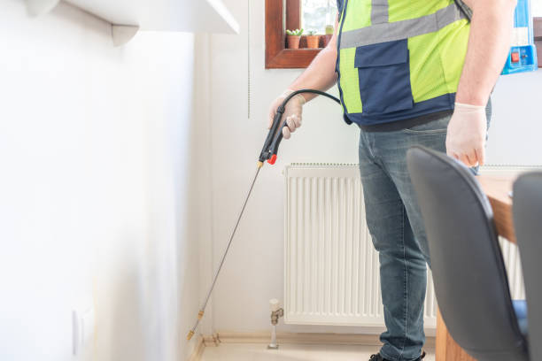 Wasp Removal Services in Chesapeake, WV