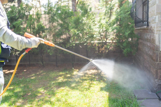 Best Flea Control Services  in Chesapeake, WV