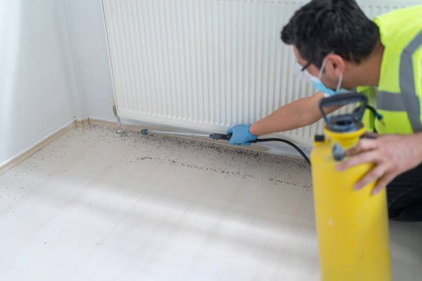 Pest Control Cost in Chesapeake, WV
